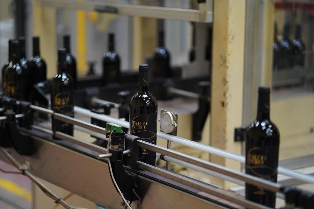Wine production at Cantine De Falco